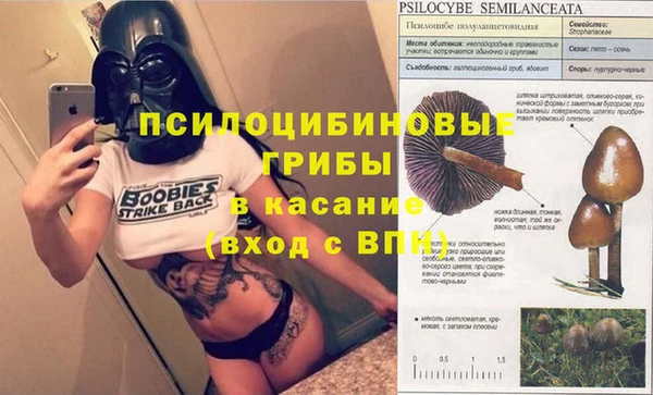 ALPHA-PVP Алексин