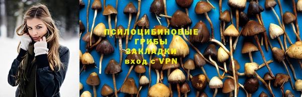 стаф Алзамай
