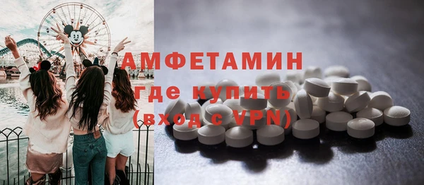стаф Алзамай