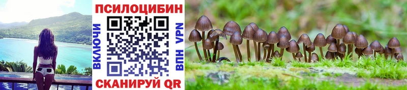 Галлюциногенные грибы GOLDEN TEACHER цены наркотик Чебаркуль