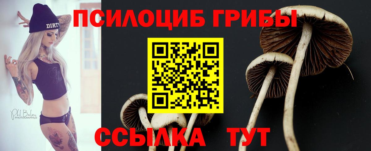 Псилоцибиновые грибы Magic Shrooms  купить наркотик  Чебаркуль  Вход с VPN 